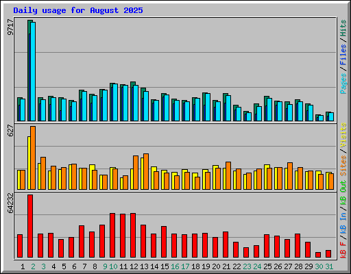Daily usage for August 2025