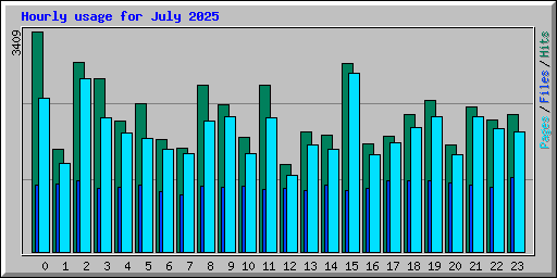 Hourly usage for July 2025