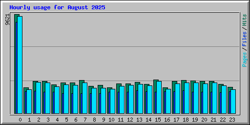 Hourly usage for August 2025