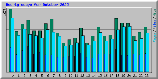 Hourly usage for October 2025